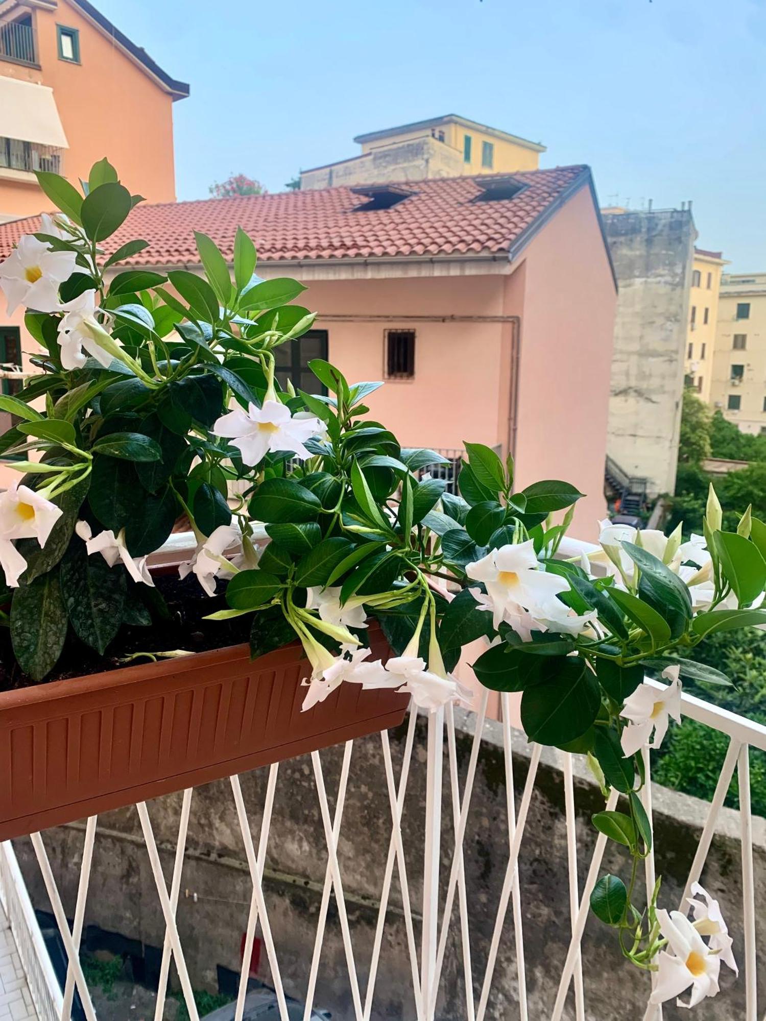 Casa Citro Apartment Салерно Екстериор снимка